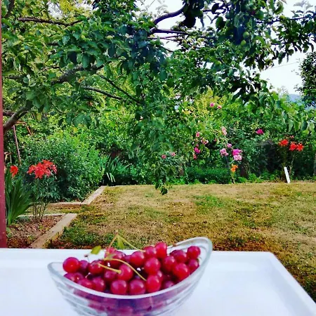 Gm-sobe-pale Near Jahorina & Sarajevo, Private Parking Pensión